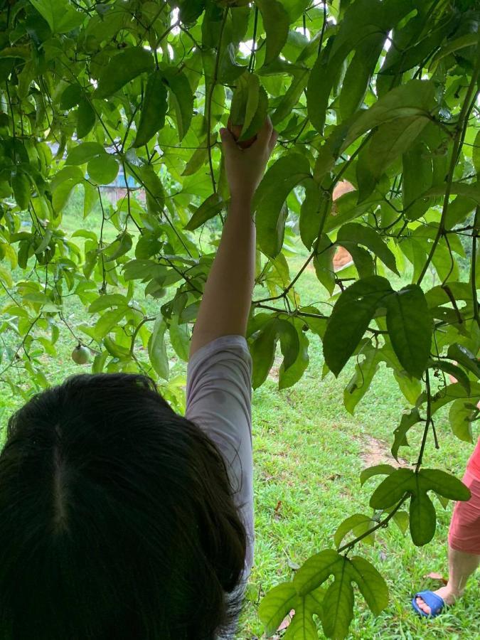 Pai Bjooc Homestay Tuyen Quang Eksteriør billede