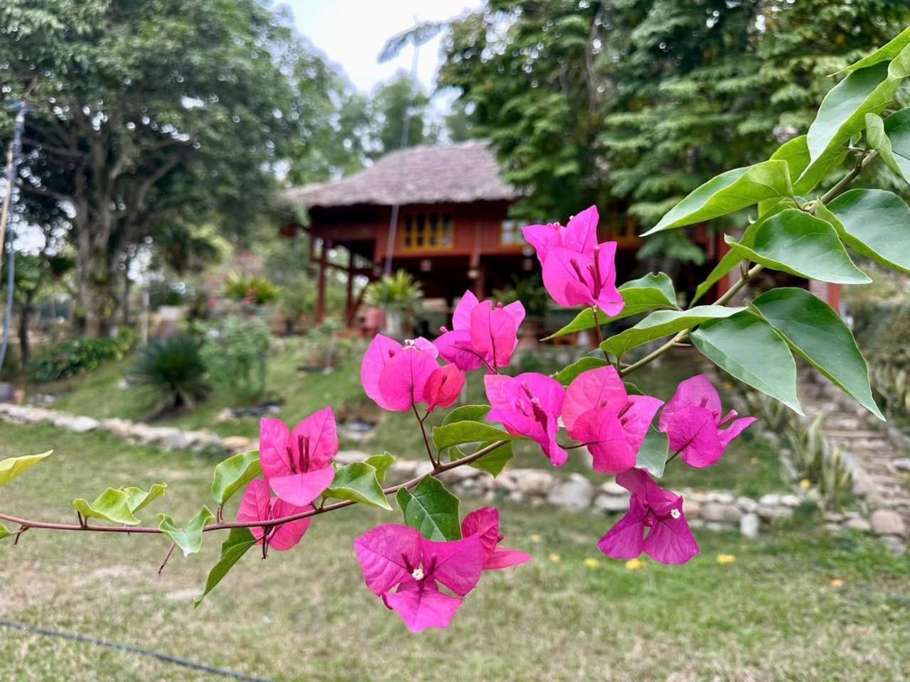 Pai Bjooc Homestay Tuyen Quang Eksteriør billede